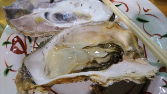 今年の牡蠣は大きい!! 今年の牡蠣は大きい!!